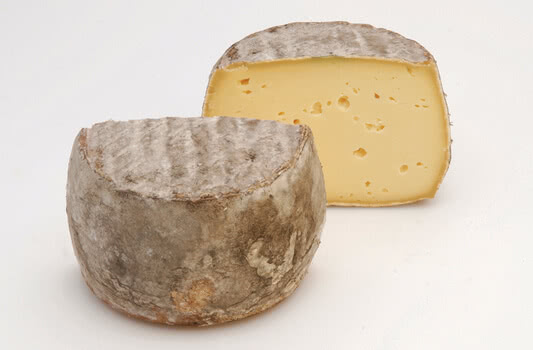 ÖMA Tommette de Yenne - Bio