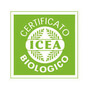 IA ICEA.jpg