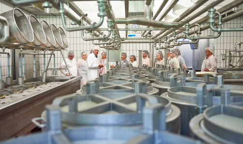Allg&auml;uer K&auml;se-Seminar