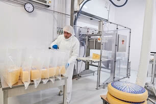 Auf dem Bild ist ein Arbeiter in einem Käseverarbeitungsbetrieb zu sehen, der Käsestücke in Plastiktüten verpackt.