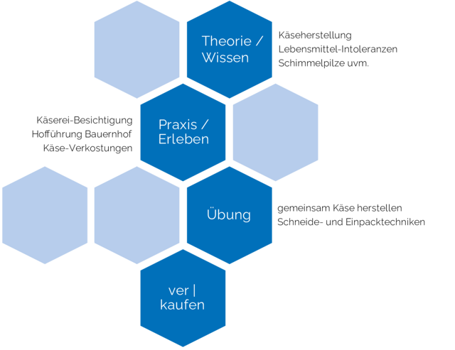Das Bild zeigt eine Übersicht über einen Kurs zur Käseherstellung, der Theorie, praktische Übungen und Verkostungen umfasst.