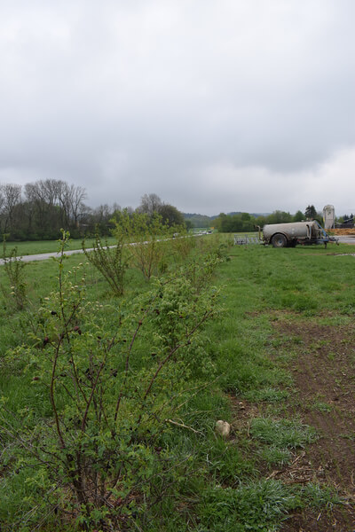 Das Bild zeigt eine Landschaft mit niedrigem Bewuchs, einer grünen Wiese und einem landwirtschaftlichen Fahrzeug im Hintergrund, unter einem bewölkten Himmel.