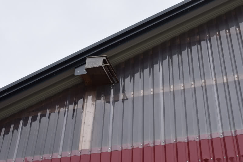 Auf dem Bild ist ein Nistkasten zu sehen, der an der Außenwand eines Gebäudes angebracht ist.