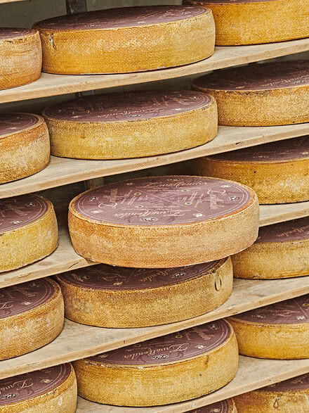 Auf dem Bild sind mehrere runde Käselaibe auf Regalen gestapelt zu sehen.