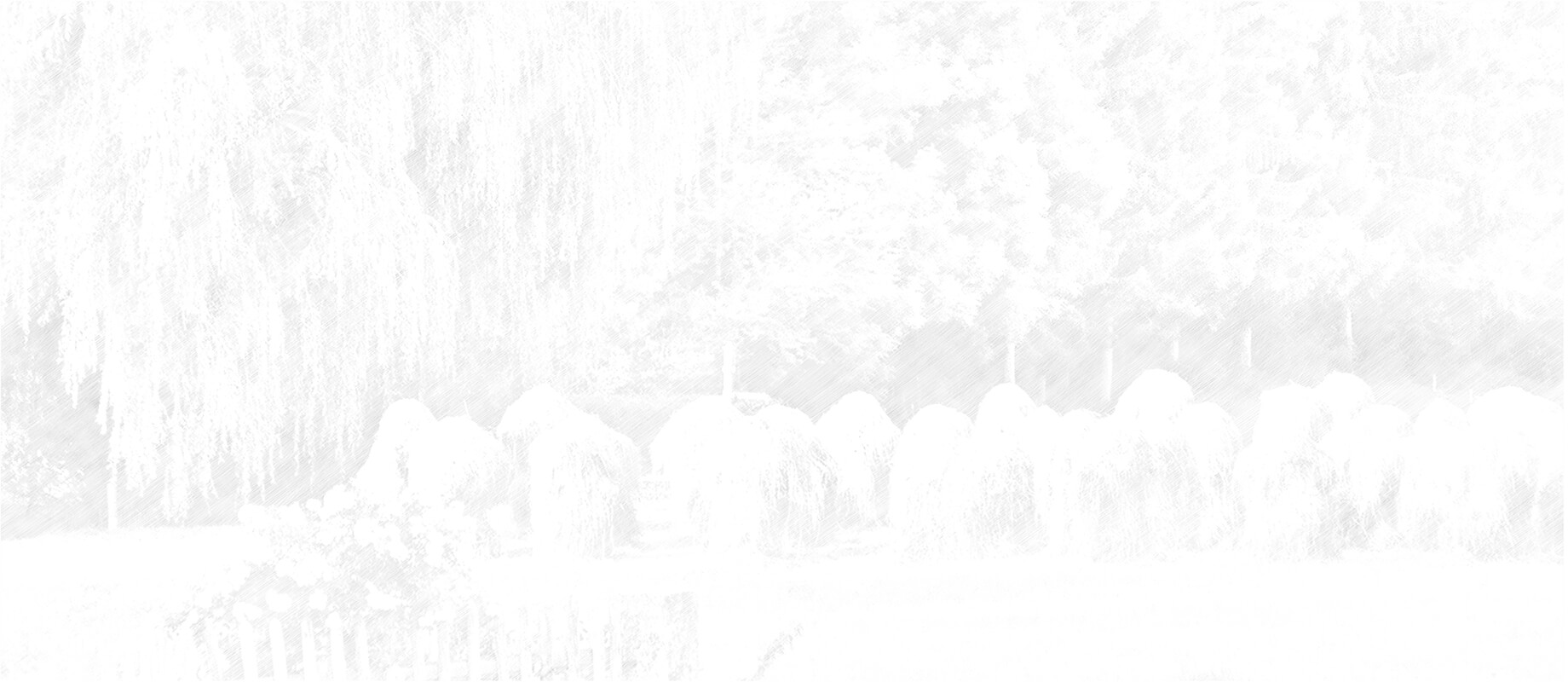 Das Bild ist unscharf und zeigt möglicherweise eine Landschaft mit Bäumen oder Sträuchern.