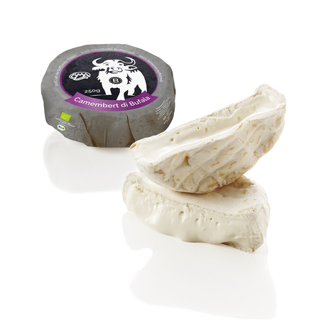 Auf dem Bild sind ein Camembert di Bufala und einige Stücke des Käses zu sehen.