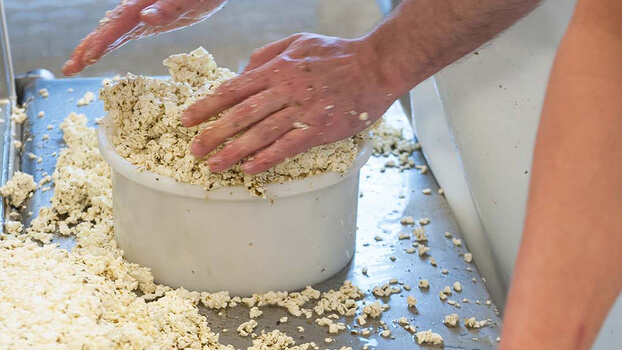 Kaesebruch wird in Formen gepresst