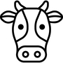 kuh