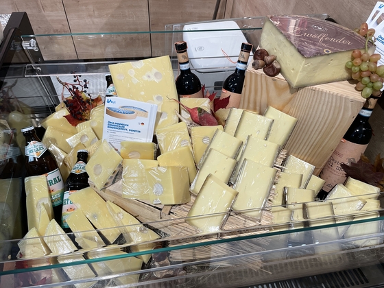 The image presents an assortment of our artisanal Allgäu cheeses, each made with certified organic milk and aged according to traditional methods. In the scene, the cheeses are accompanied by bottles of handcrafted beverages and subtle autumn decorations, reflecting the seasonal abundance and regional heritage that inspire our dairy craftsmanship.