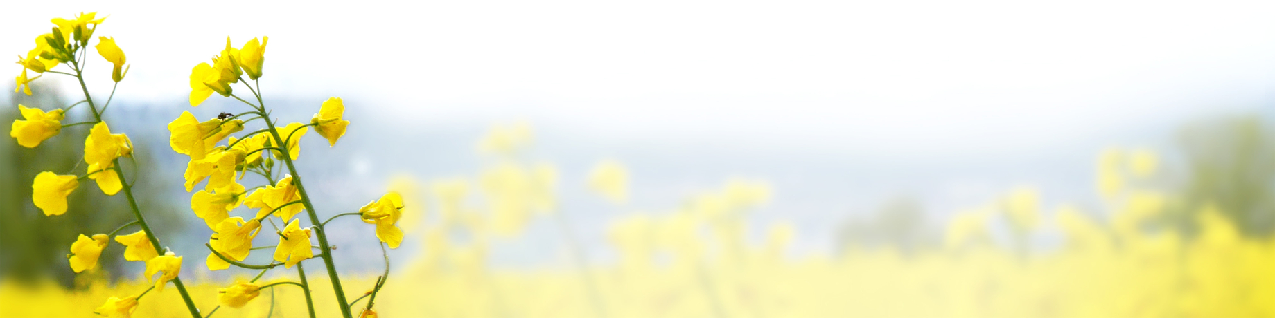 unterbrecher newsletter raps